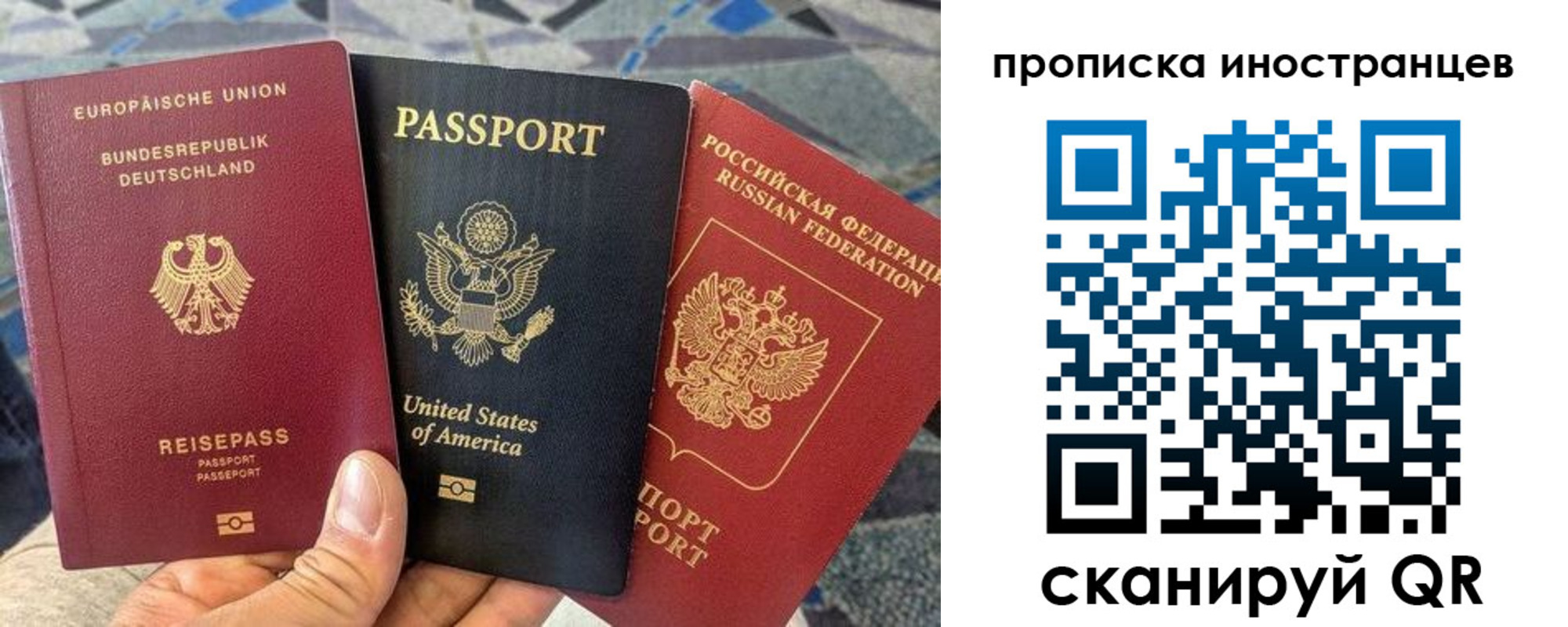 прописка поиск в Сунже